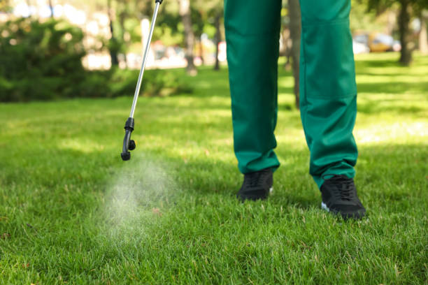Best Pest Prevention Services  in Northport, NY