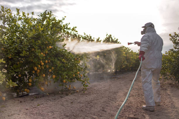 Best Wasp Removal Services  in Northport, NY
