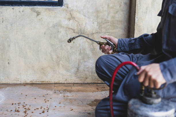 Best Local Pest Control Services  in Northport, NY